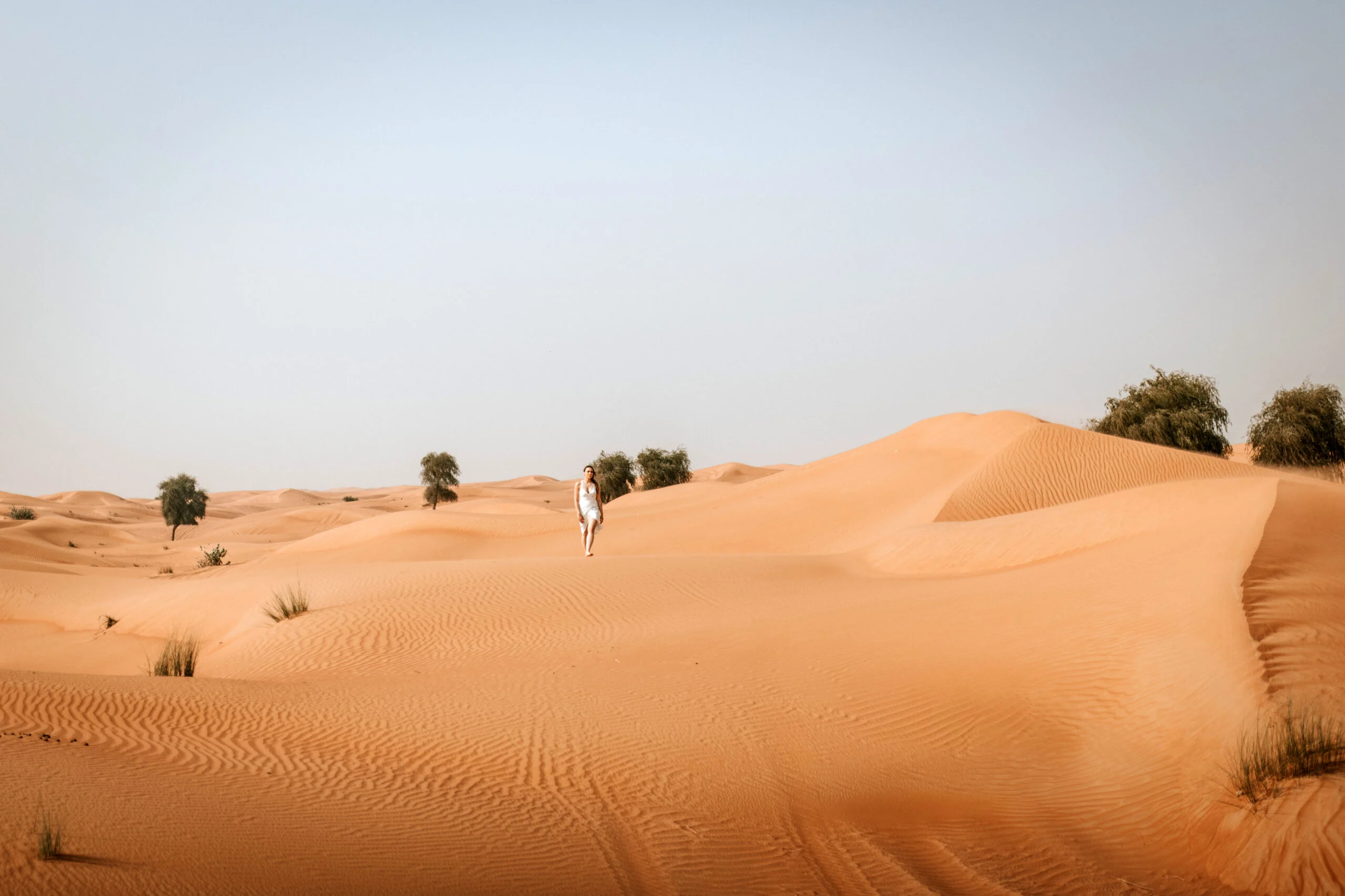 Couple walking between desert shrubs on the sand
