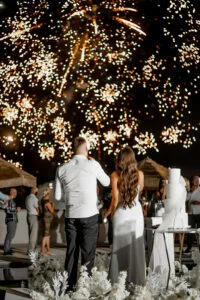 Fireworks above the party, guests watching from below