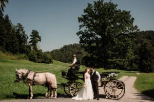 Bride and groom with a horse and carriage on a country road