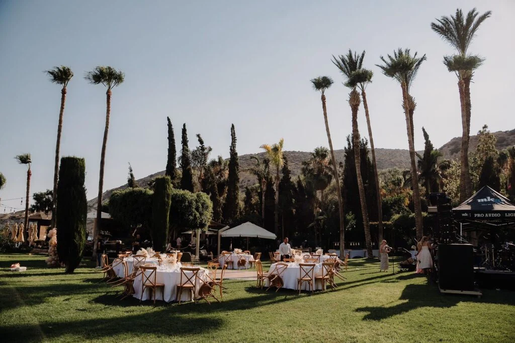Round dinner tables laid out on the lawn under tall palm trees