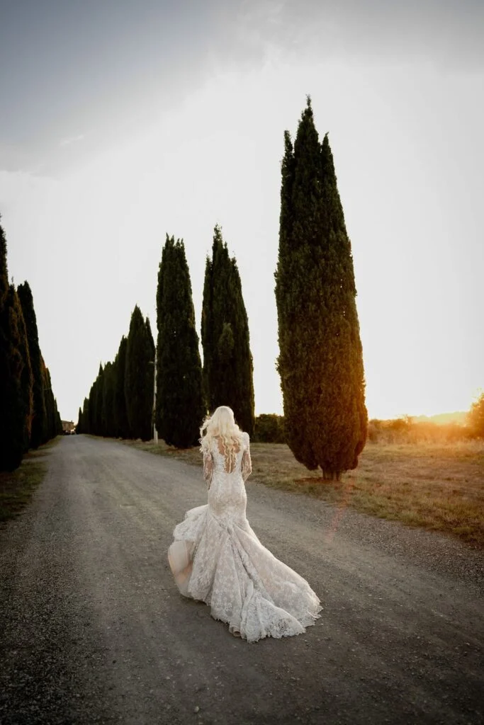 Bride walking the cypress avenue in the last light of the day